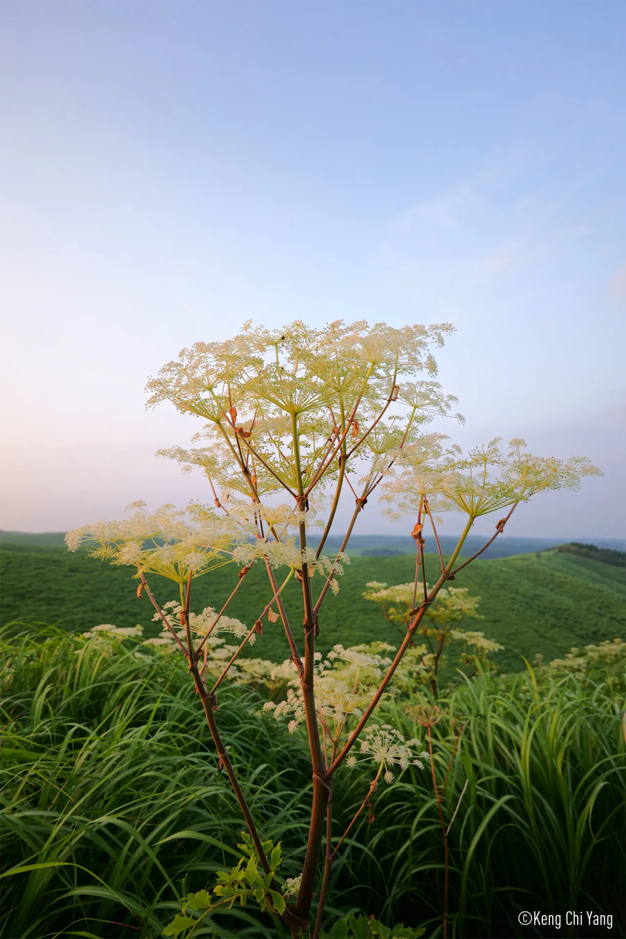 Panasonic S-R1840E Panasonic S-R1840 LUMIX S nejmenší zoom objektiv (ohniskový rozsah 18–40 mm, F4.5–6.3, filtr 62mm, maximální zvětšení 0,28x) 12 Panasonic S-R1840E lumix 2024 r1840 getinspired 3 240906