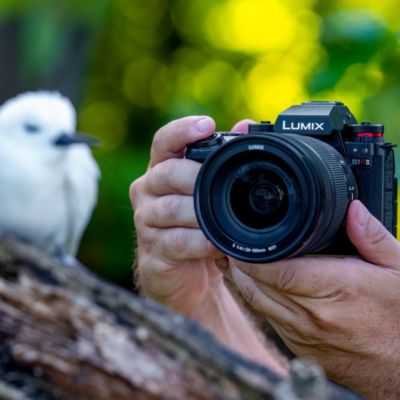 Panasonic DC-S1RM2E lumix 2025 s1rm2 galleryimages 1 250129