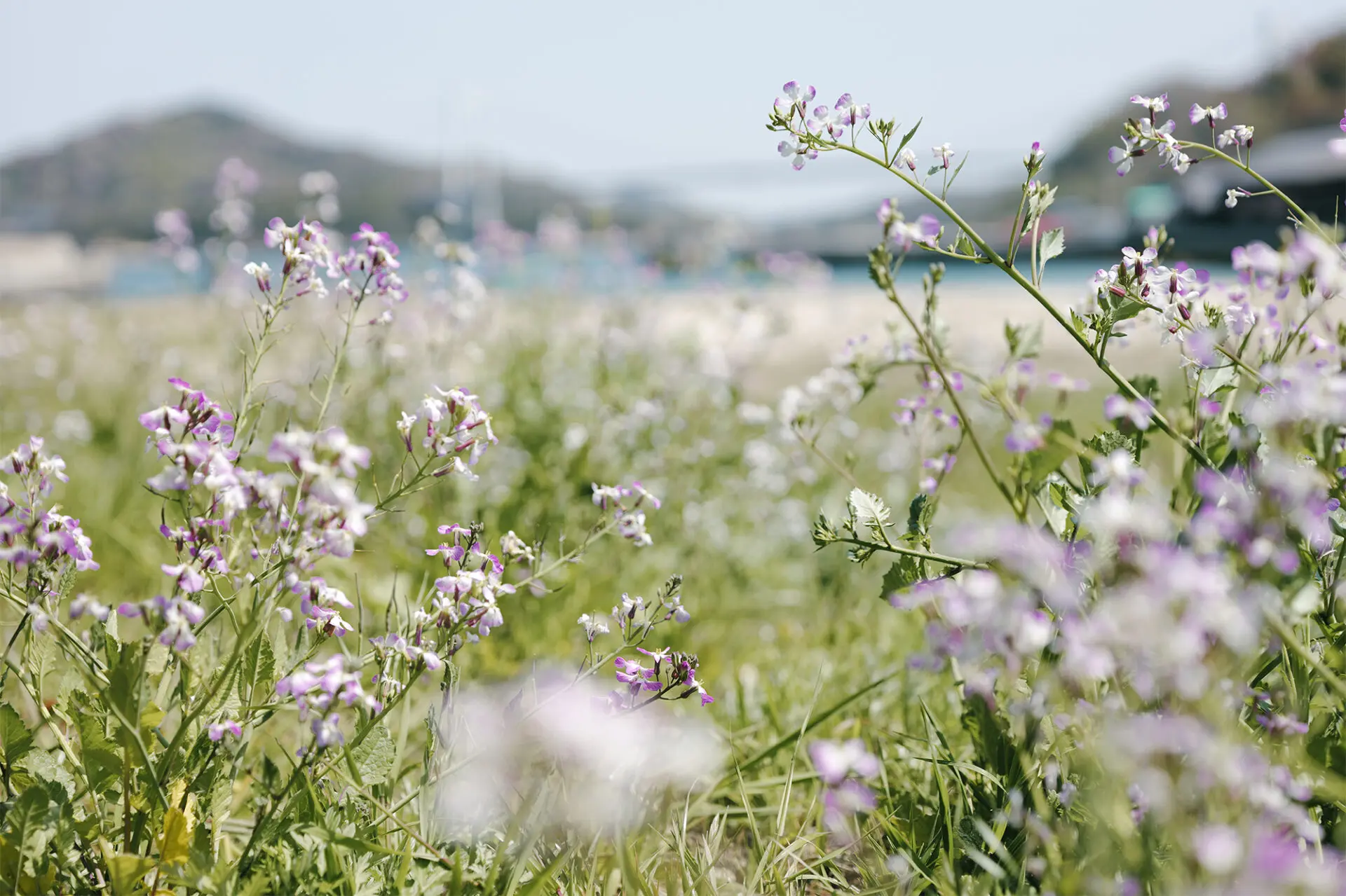 Panasonic S-E2460E Panasonic S-E2460 Lumix objektiv S 24-60mm F2.8 (zoom 24-60mm, F2.8, prachotěsný, odolný proti stříkající vodě) 24 Panasonic S-E2460E lumix 2025 e2460 getinspired 2 250416