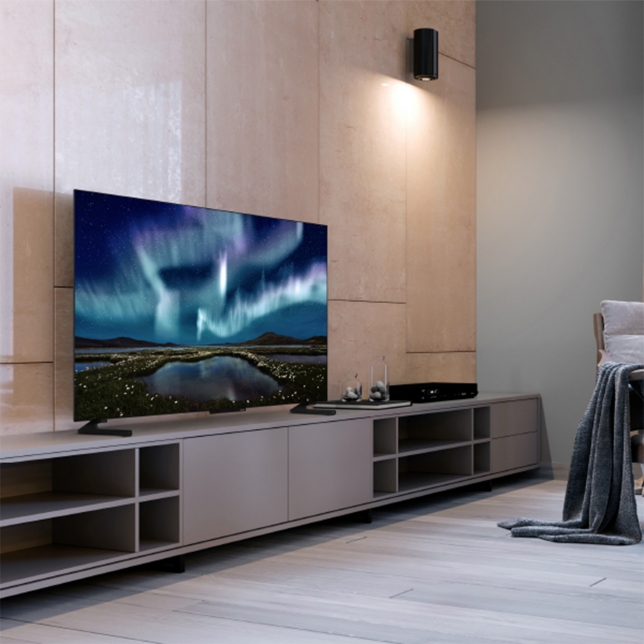 Panasonic TB-55Z60AEG ast 2557995.jpg.pub.thumb.644.644