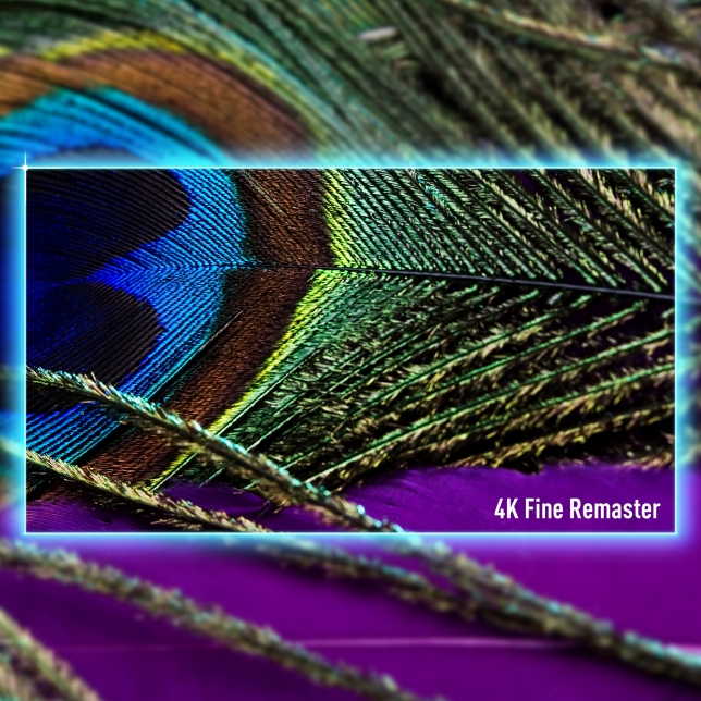 Panasonic TV-77Z90BE6 ast 2667330.jpg.pub.thumb.644.644