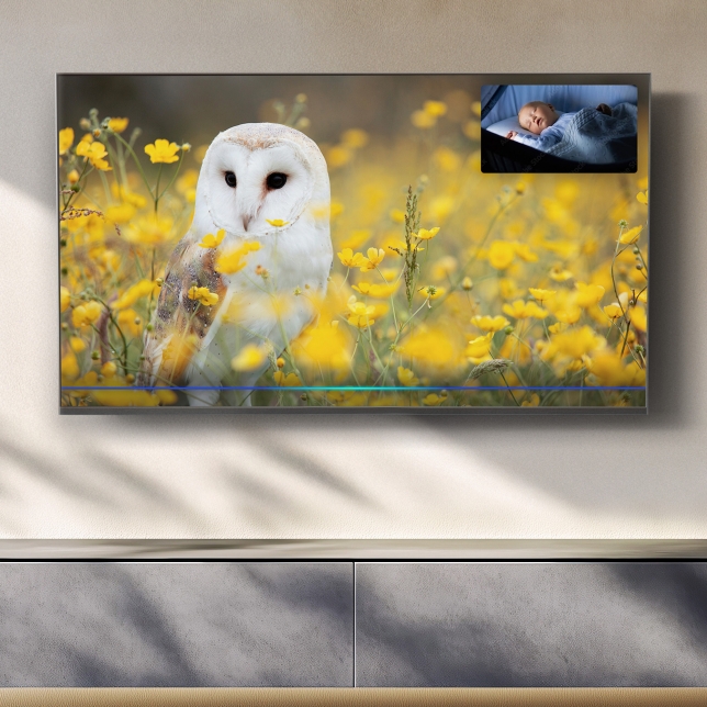 Panasonic TV-55Z80BEZ ast 2714406.jpg.pub.thumb.644.644
