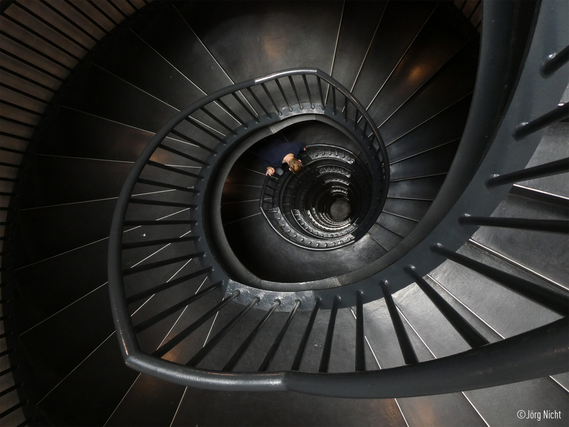 lumix 2024 tz99 zs99 getinspired 3 241205