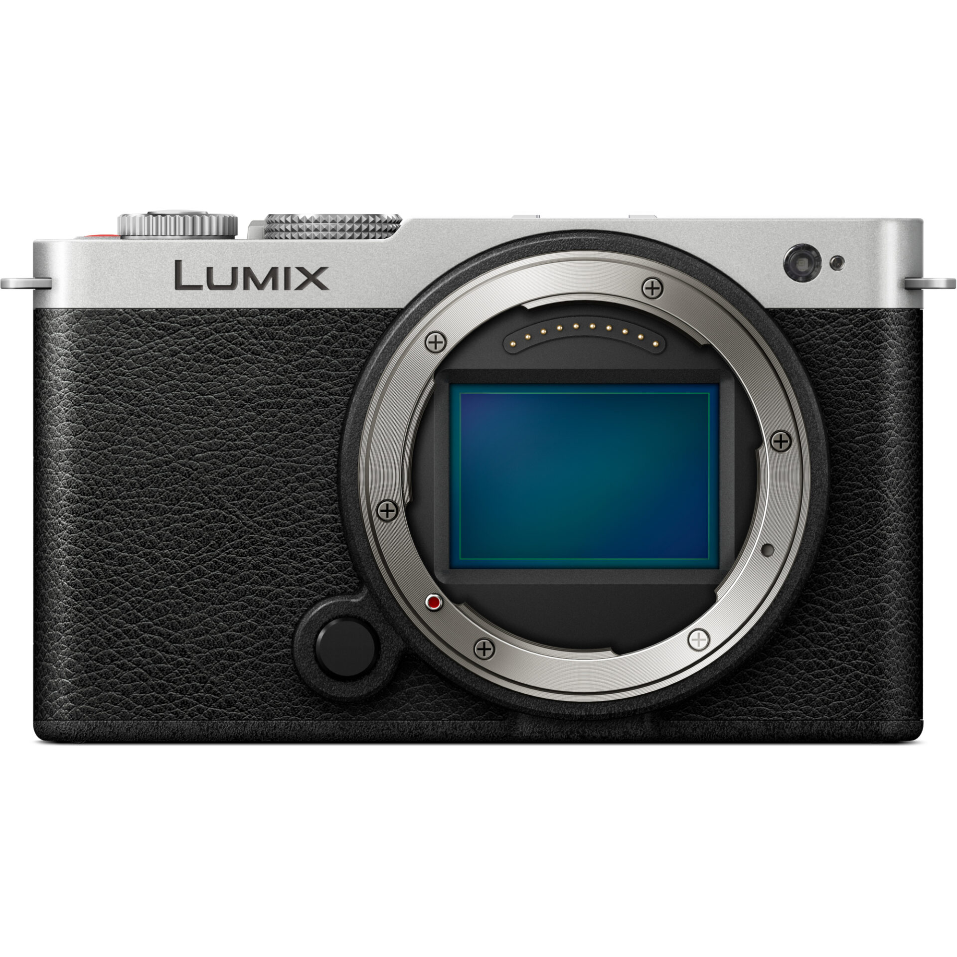 Panasonic DC-S9 Lumix kompaktní Full-Frame bezzrcadlovka (24,2 MP, flexibilní rámování, LUMIX Lab, fázový hybridní AF), černá a stříbrná