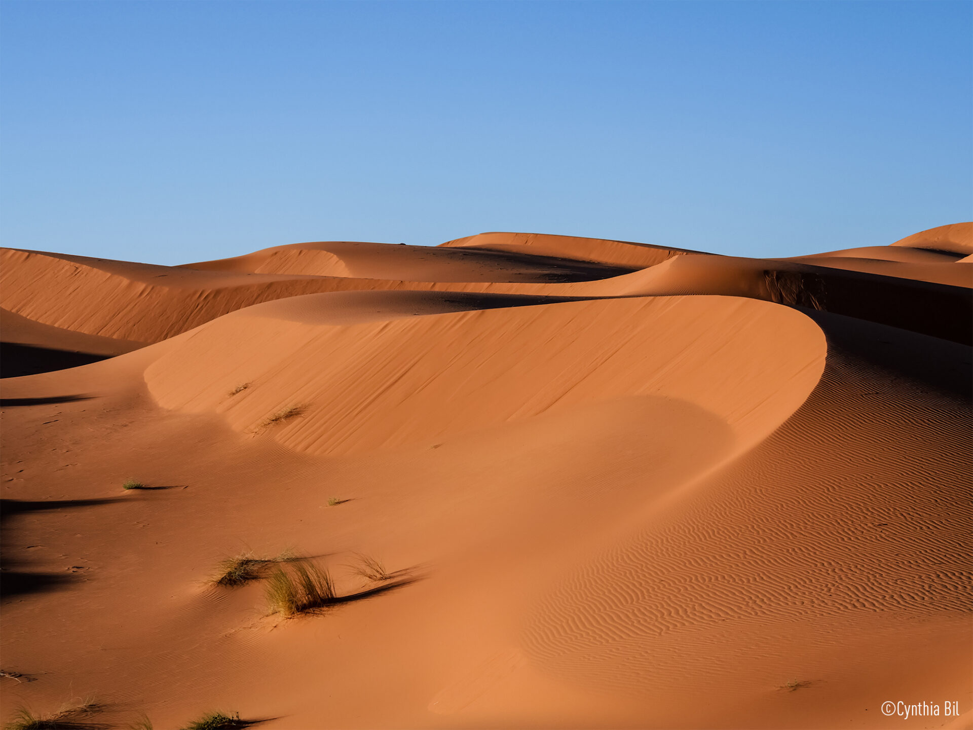 Panasonic DC-G97HE Panasonic DC-G97H Lumix kompaktní hybridní fotoaparát + objektiv H-FSA14140 14–140mm, F3.5–5.6 (CMOS 20,3MP, video 4K 30p, V-Log L, Dual I.S., B.I.S.) 24 Panasonic DC-G97HE lumix 2024 g97 getinspired 3 241205